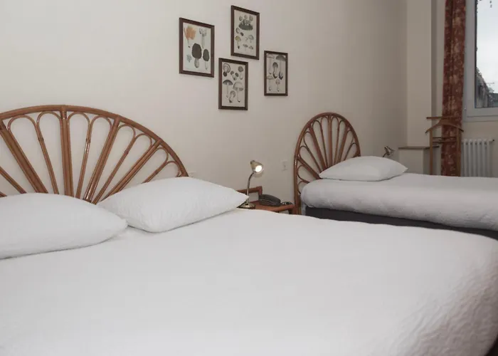Hotel Cit'hotel Aero-hotel Le Blanc-Mesnil