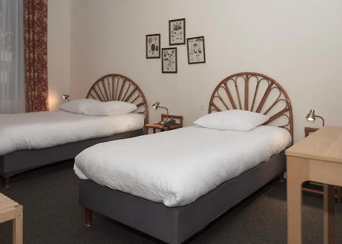 Hotel Cit'hotel Aero-hotel Le Blanc-Mesnil